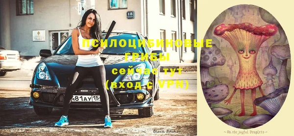 Альфа ПВП Арсеньев