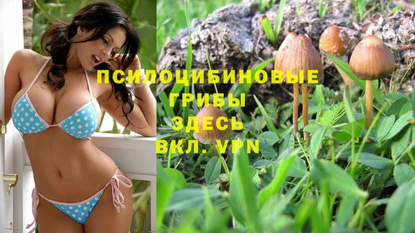 винт Аркадак