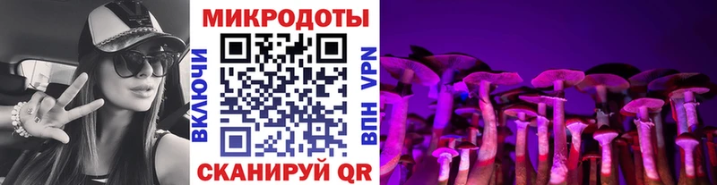 Псилоцибиновые грибы мицелий  ссылка на мегу ТОР  Пучеж  shop наркотические препараты  купить наркоту 
